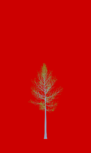 Treee