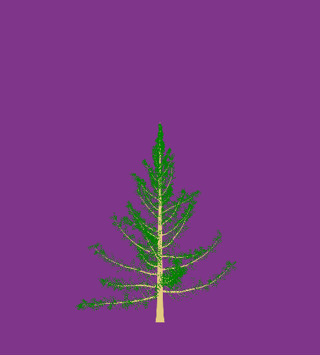 Treee