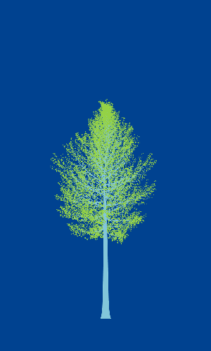 Treee