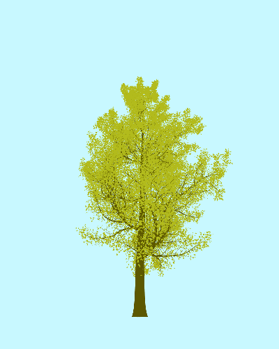 Treee