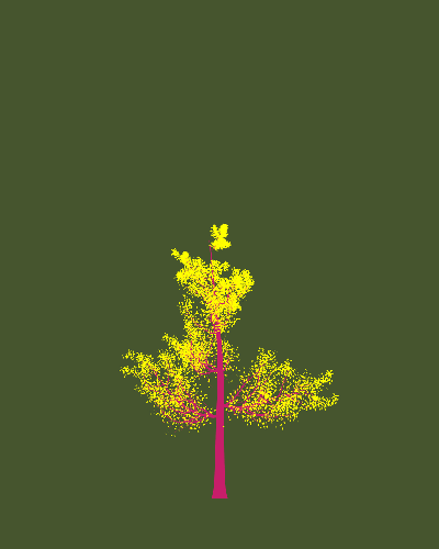 Treee