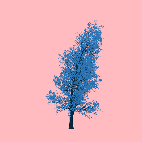 Treee