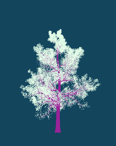 Treee