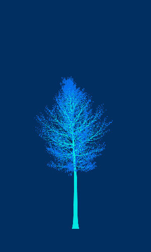 Treee