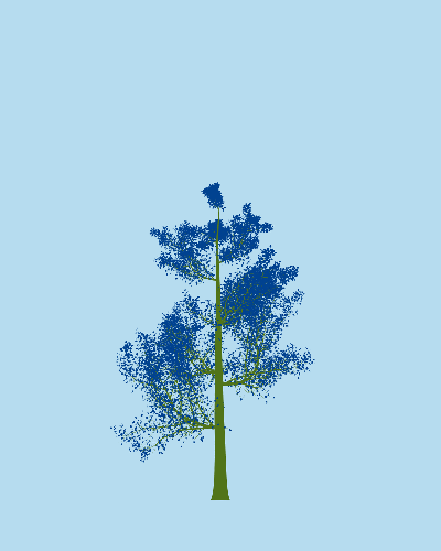 Treee