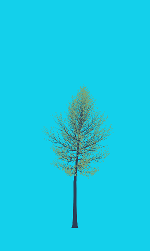 Treee