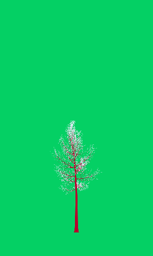 Treee