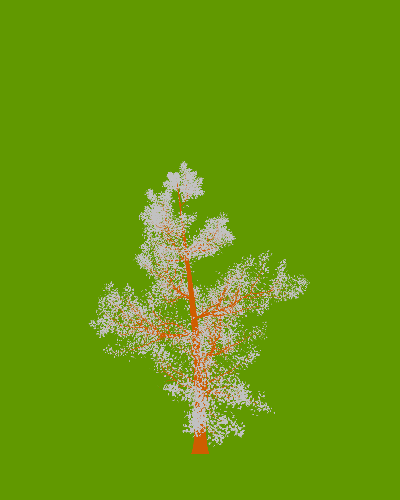 Treee