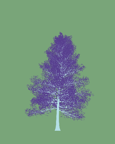 Treee