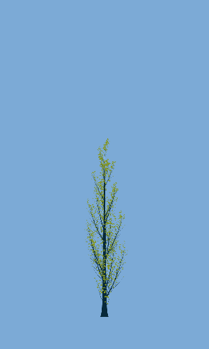 Treee