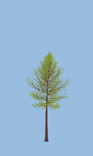 Treee