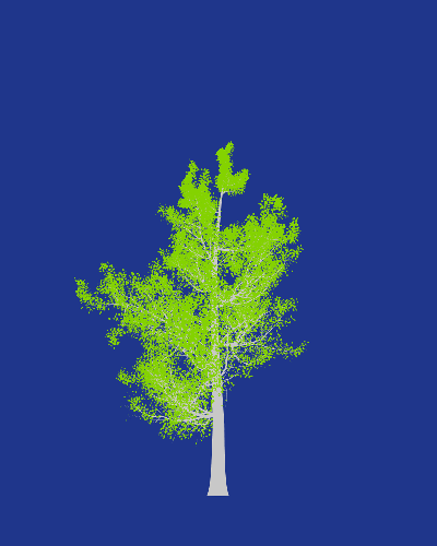 Treee