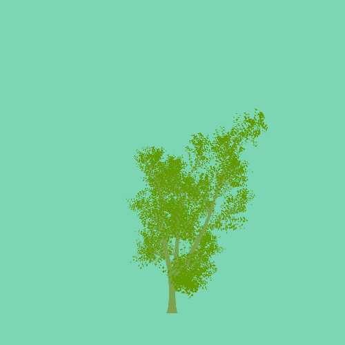 Treee