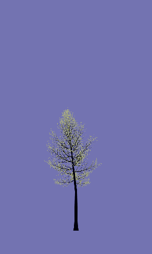 Treee