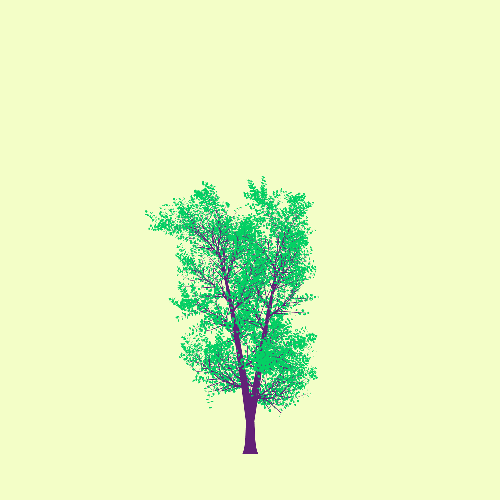 Treee
