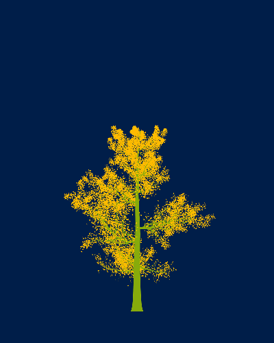 Treee