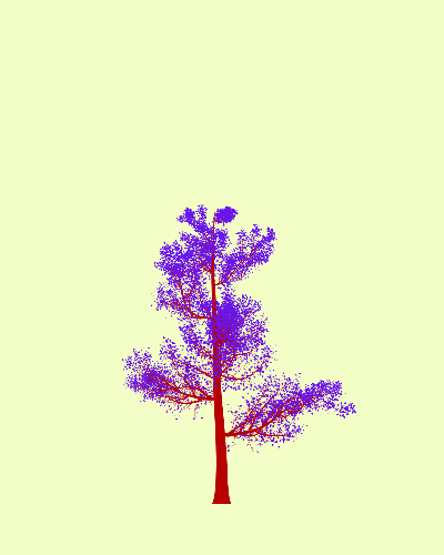 Treee