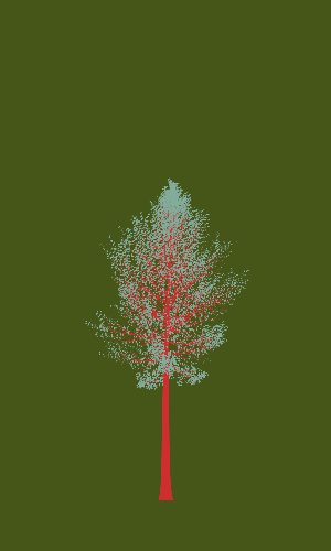 Treee