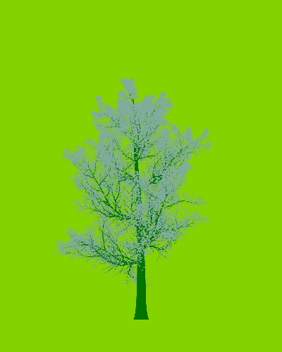 Treee