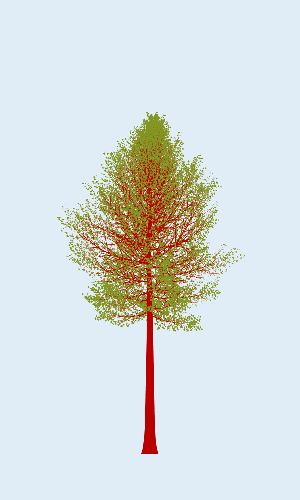 Treee