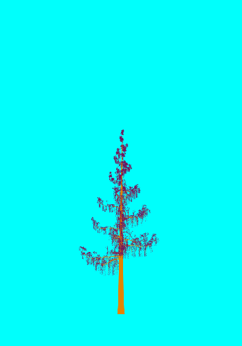 Treee