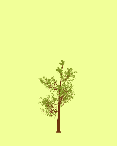 Treee