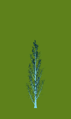 Treee