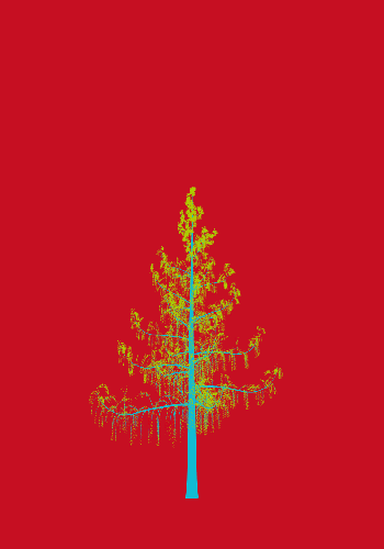 Treee