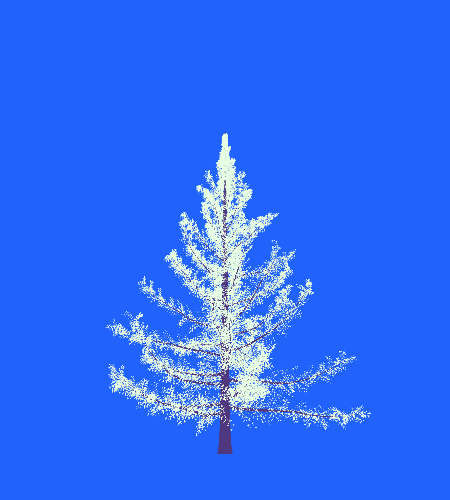 Treee