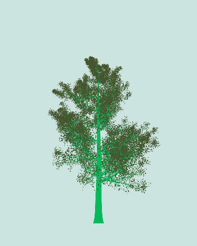 Treee