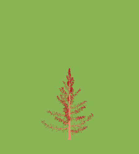 Treee
