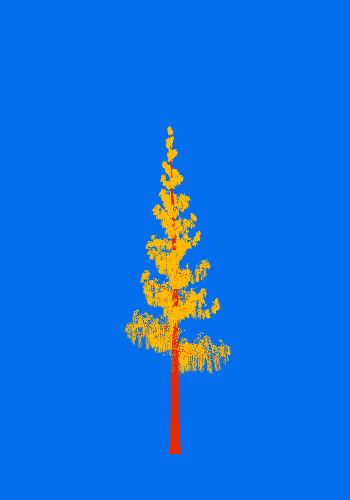 Treee