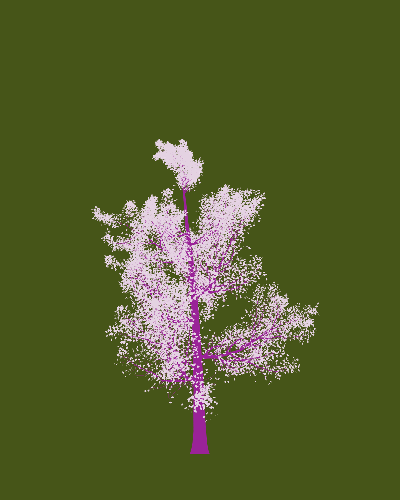 Treee