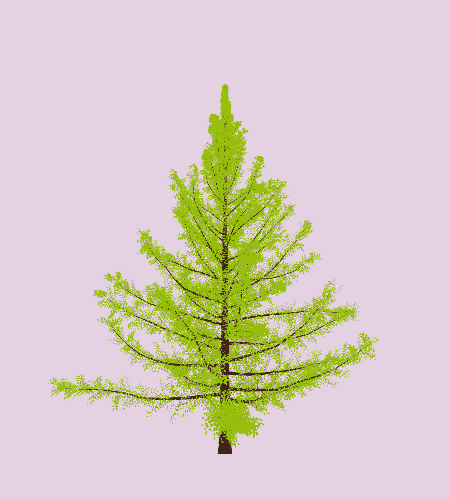 Treee