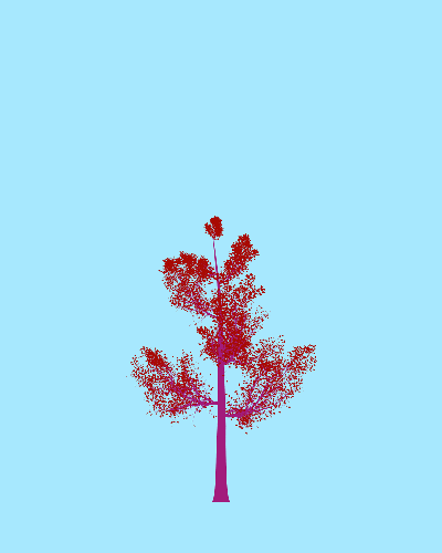 Treee