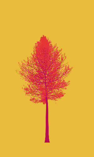Treee