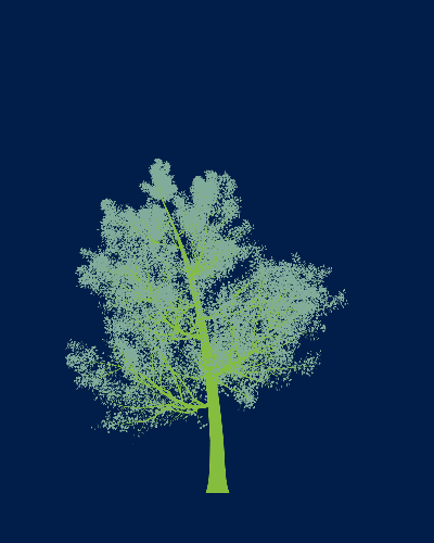 Treee
