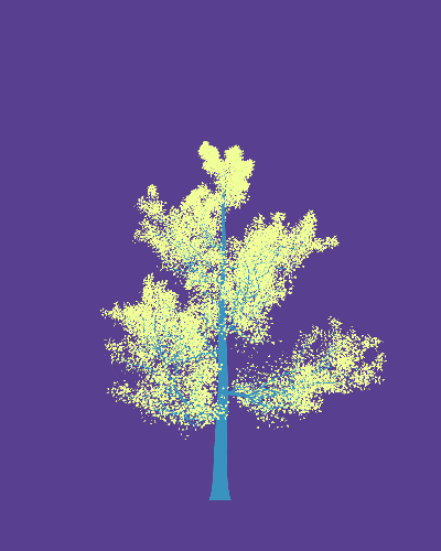 Treee