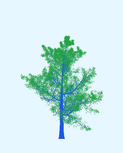 Treee