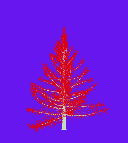 Treee