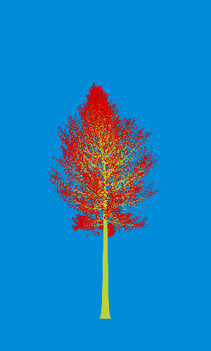 Treee