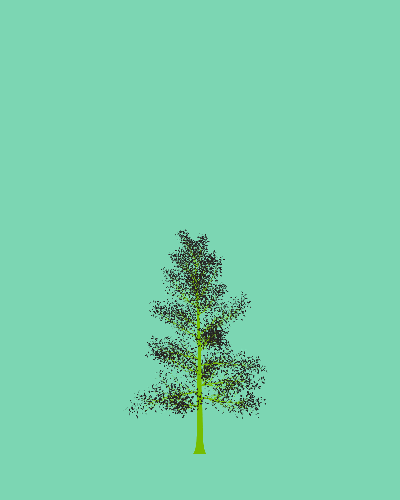 Treee