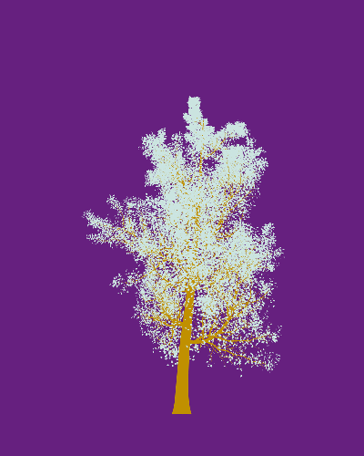 Treee