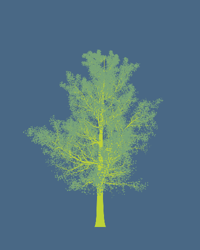 Treee