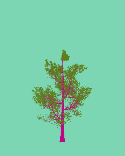 Treee