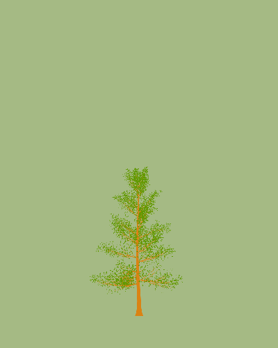Treee