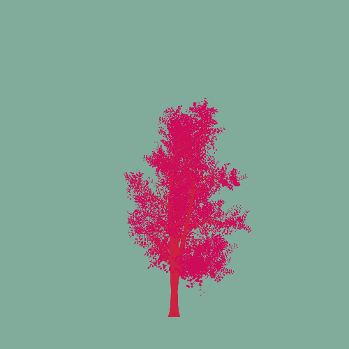 Treee
