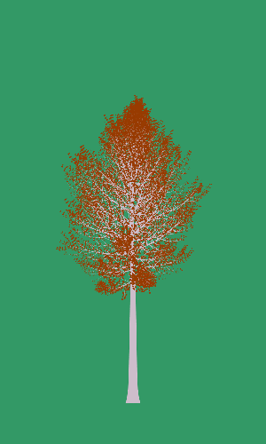 Treee