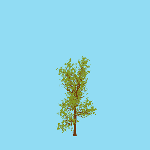 Treee