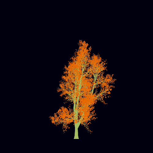 Treee